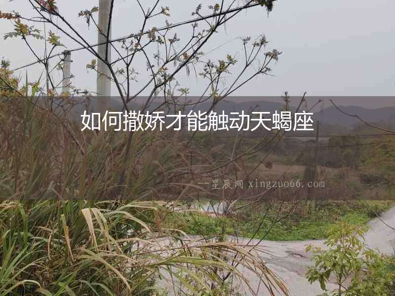 如何撒嬌才能觸動天蝎座