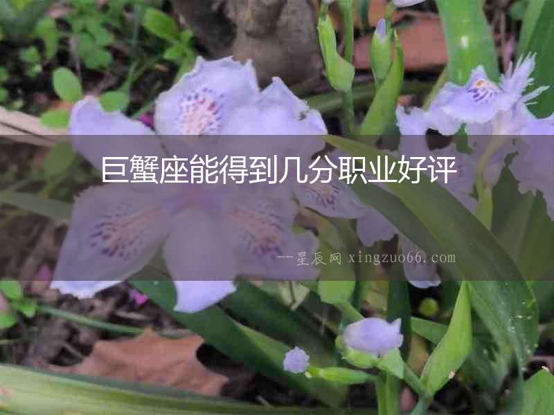 巨蟹座能得到幾分職業好評