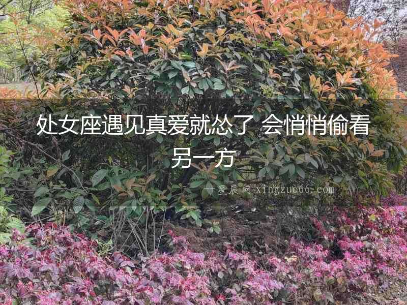 處女座遇見真愛就慫了 會(huì)悄悄偷看另一方