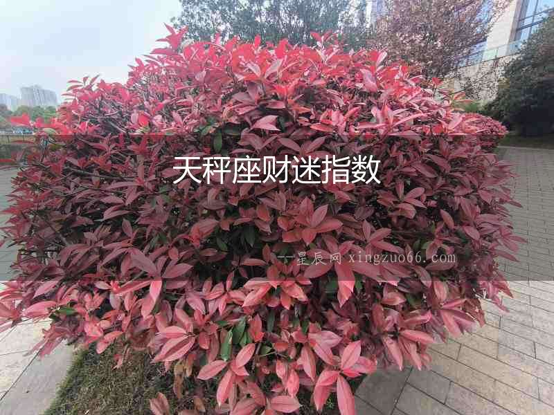 天秤座財迷指數