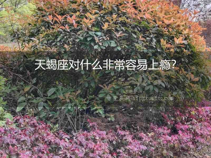 天蝎座對什么非常容易上癮？