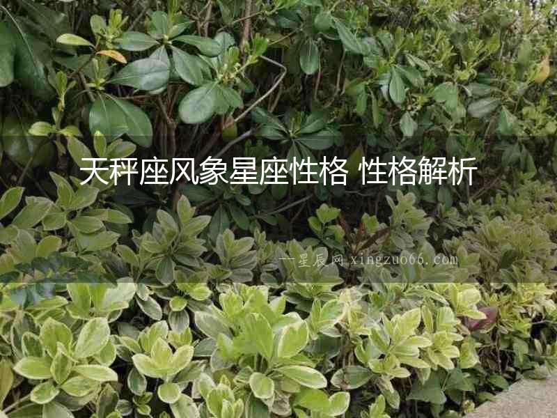 天秤座風象星座性格 性格解析