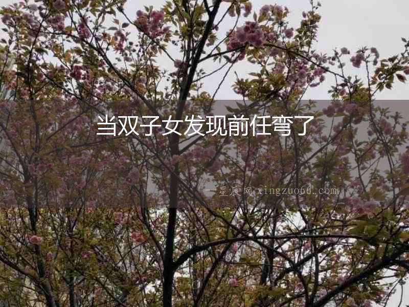 當(dāng)雙子女發(fā)現(xiàn)前任彎了