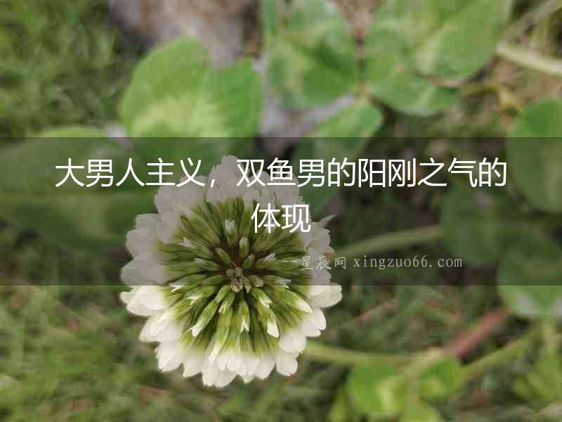 大男人主義，雙魚男的陽剛之氣的體現(xiàn)