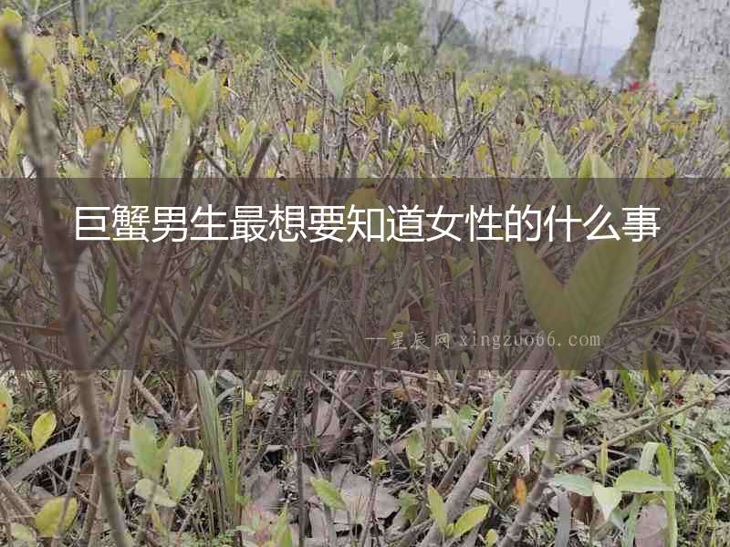 巨蟹男生最想要知道女性的什么事