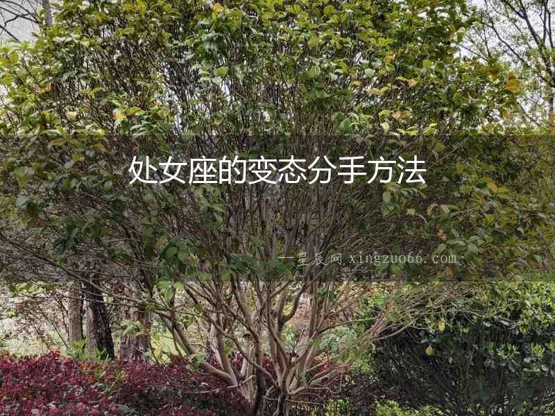 處女座的變態(tài)分手方法