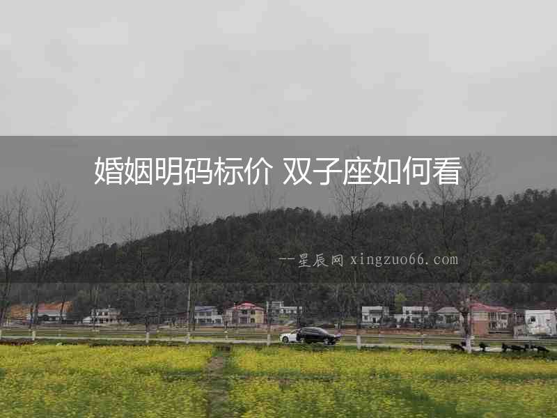 婚姻明碼標價 雙子座如何看