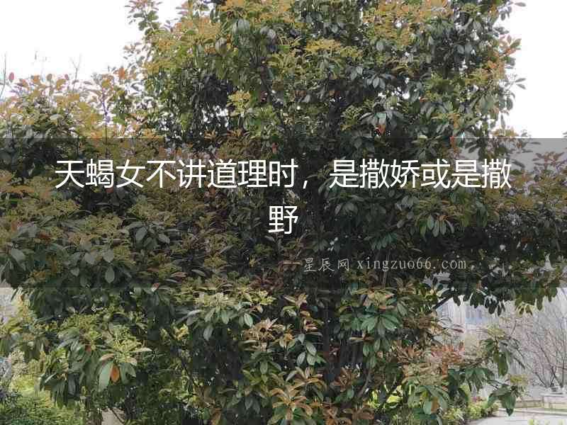 天蝎女不講道理時，是撒嬌或是撒野