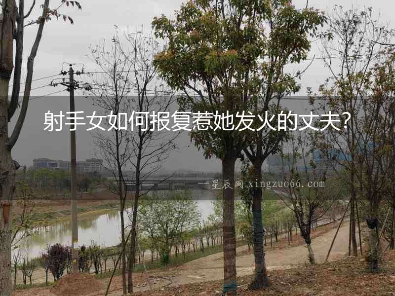 射手女如何報復(fù)惹她發(fā)火的丈夫？