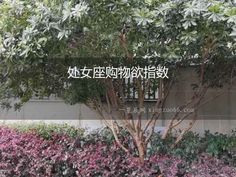 處女座購物欲指數(shù)