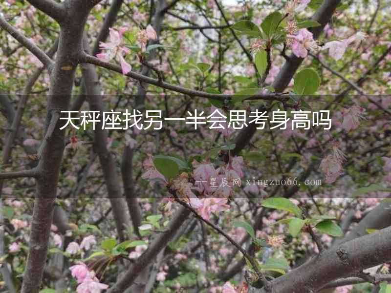 天秤座找另一半會思考身高嗎