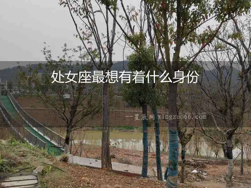 處女座最想有著什么身份