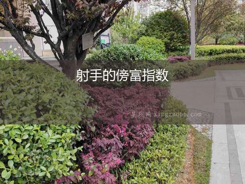 射手的傍富指數