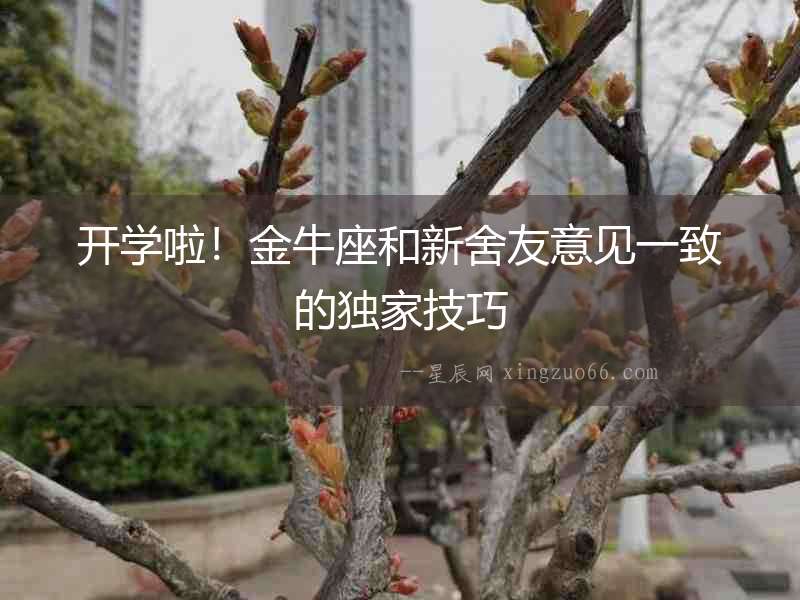 開學(xué)啦！金牛座和新舍友意見一致的獨(dú)家技巧