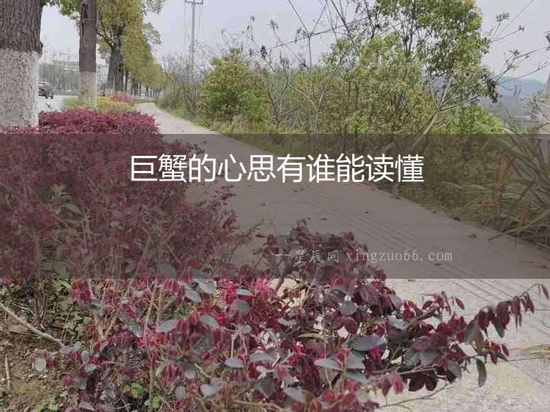 巨蟹的心思有誰能讀懂