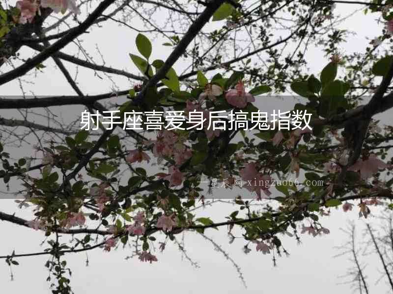 射手座喜愛身后搞鬼指數