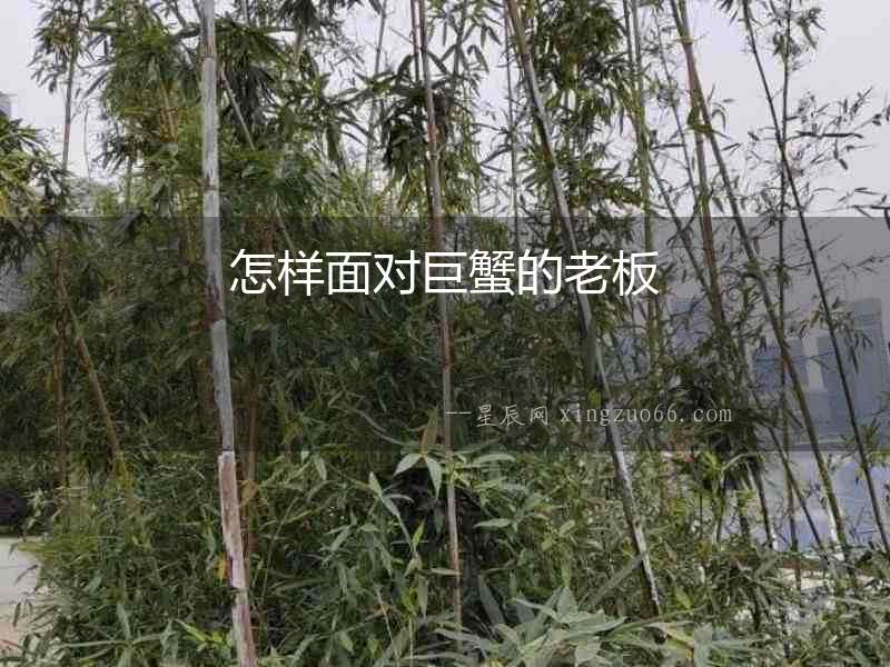 怎樣面對巨蟹的老板