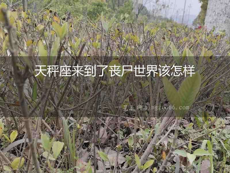天秤座來到了喪尸世界該怎樣