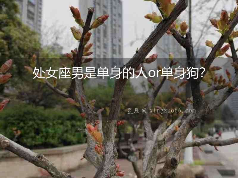 處女座男是單身的人or單身狗？