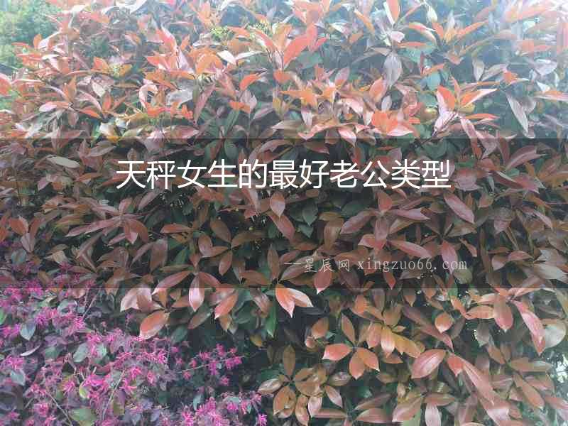 天秤女生的最好老公類型
