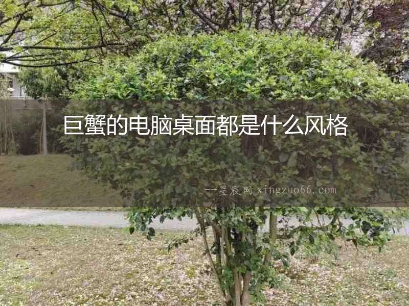 巨蟹的電腦桌面都是什么風格