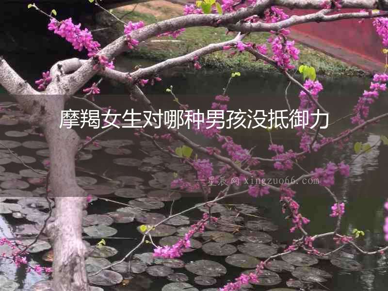 摩羯女生對(duì)哪種男孩沒(méi)抵御力