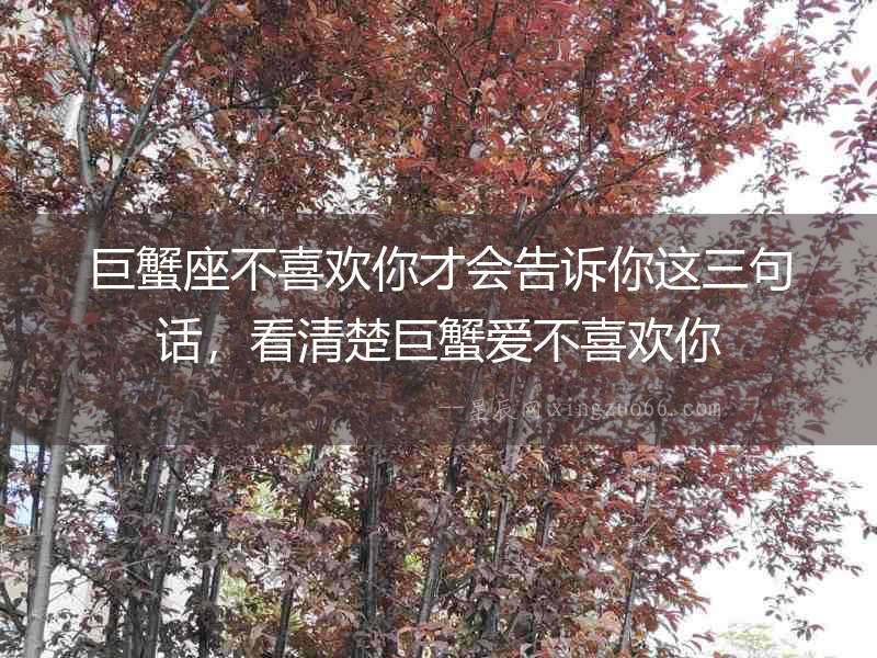 巨蟹座不喜歡你才會告訴你這三句話，看清楚巨蟹愛不喜歡你