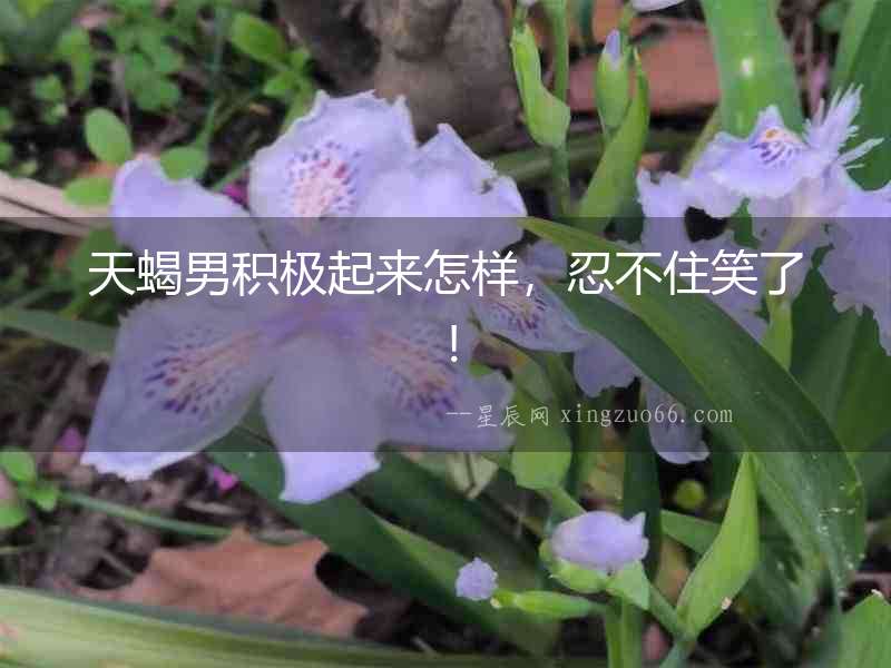 天蝎男積極起來怎樣，忍不住笑了！