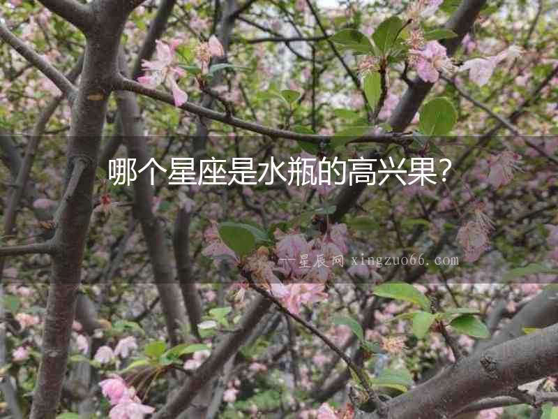 哪個星座是水瓶的高興果？
