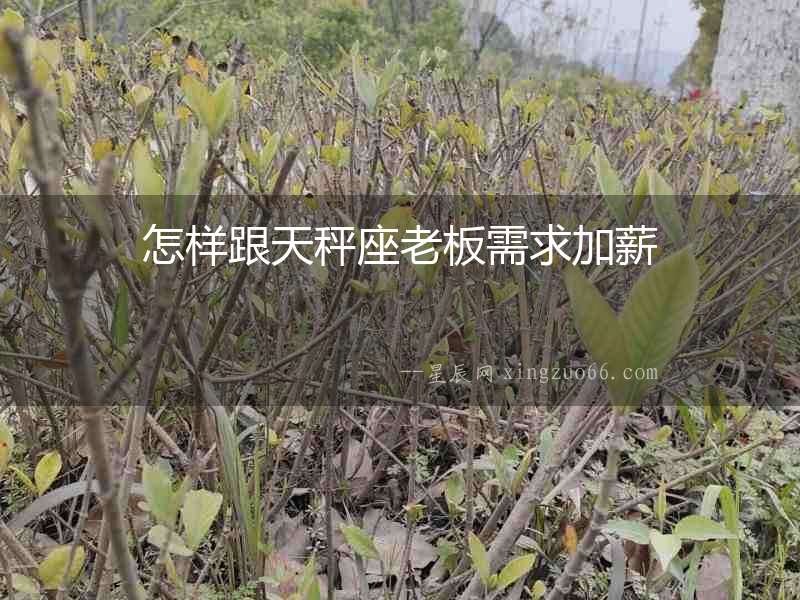 怎樣跟天秤座老板需求加薪
