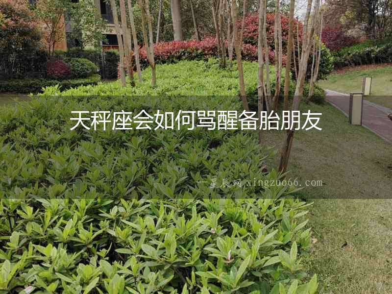 天秤座會如何罵醒備胎朋友