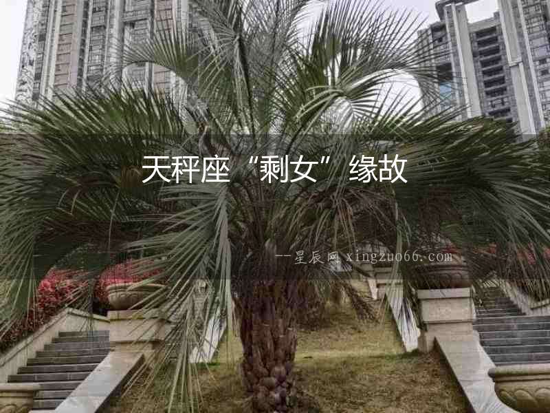 天秤座“剩女”緣故