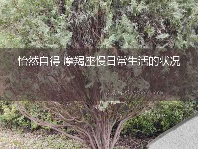 怡然自得 摩羯座慢日常生活的狀況
