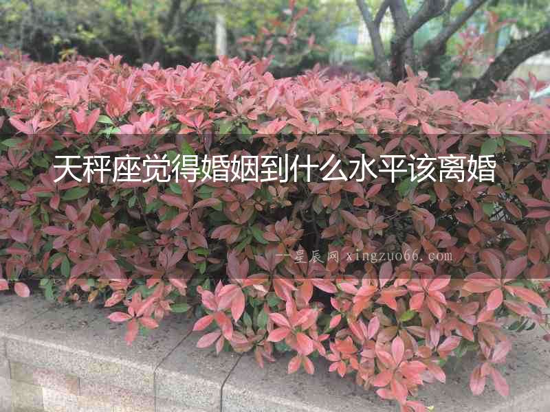 天秤座覺得婚姻到什么水平該離婚