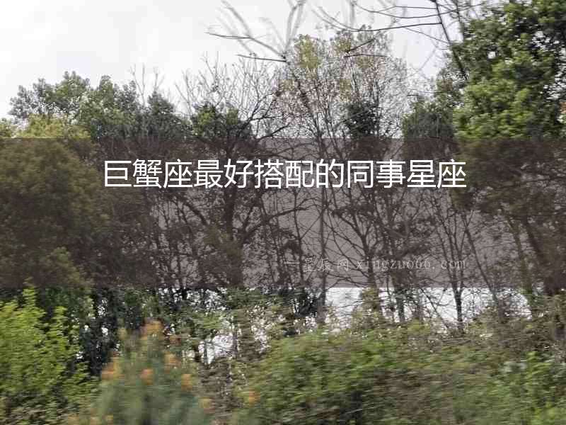 巨蟹座最好搭配的同事星座