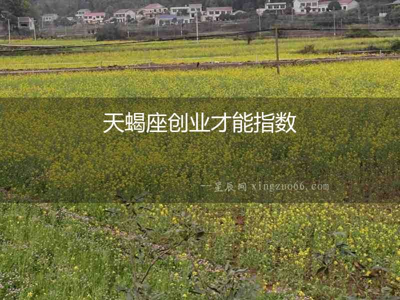 天蝎座創業才能指數