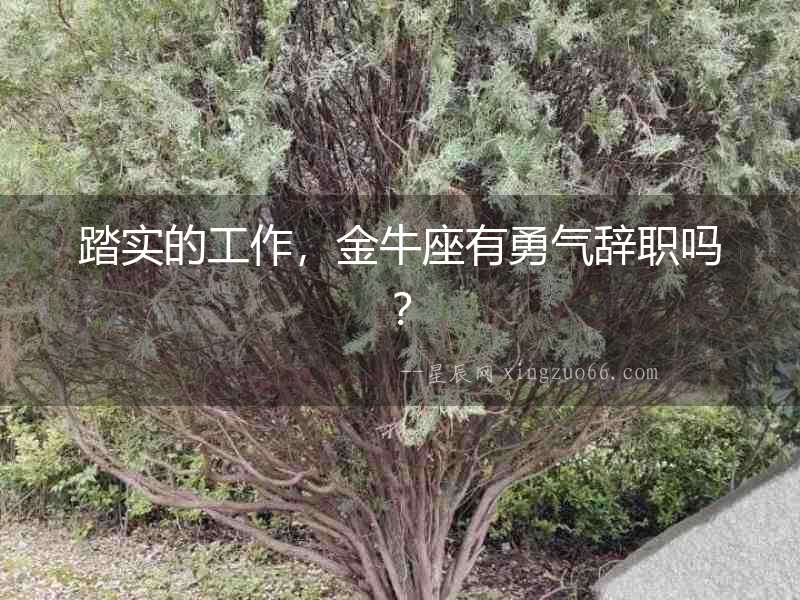 踏實的工作，金牛座有勇氣辭職嗎？