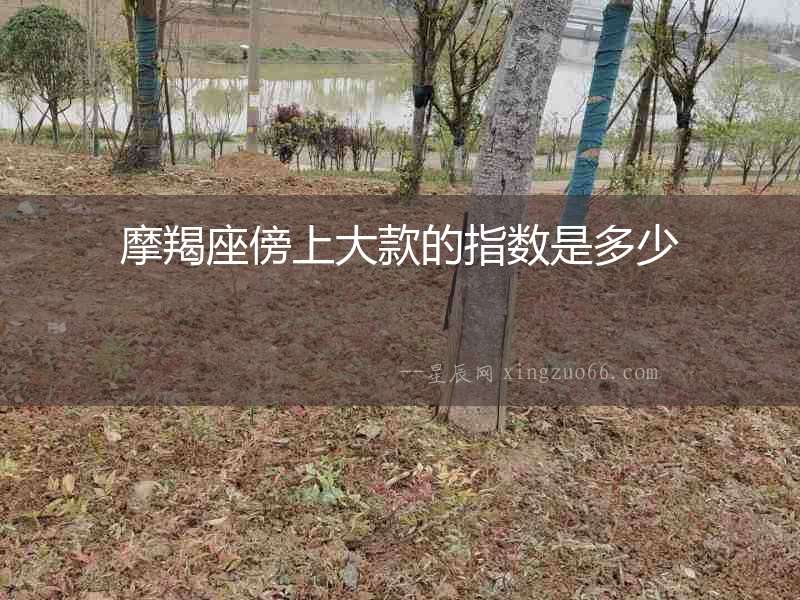 摩羯座傍上大款的指數(shù)是多少