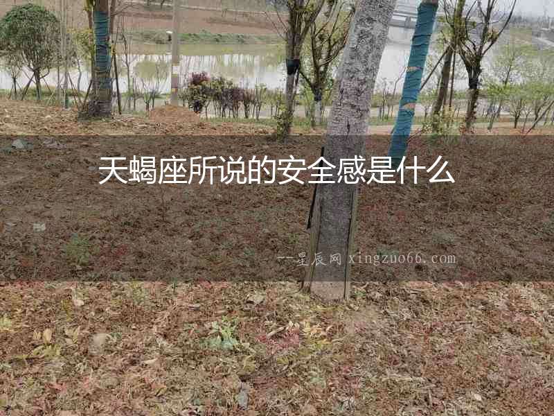 天蝎座所說(shuō)的安全感是什么