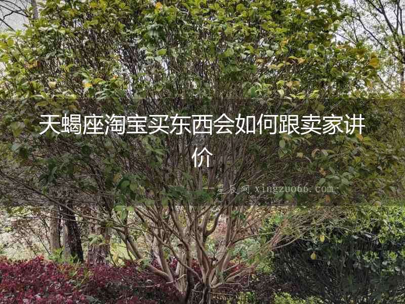 天蝎座淘寶買東西會(huì)如何跟賣家講價(jià)