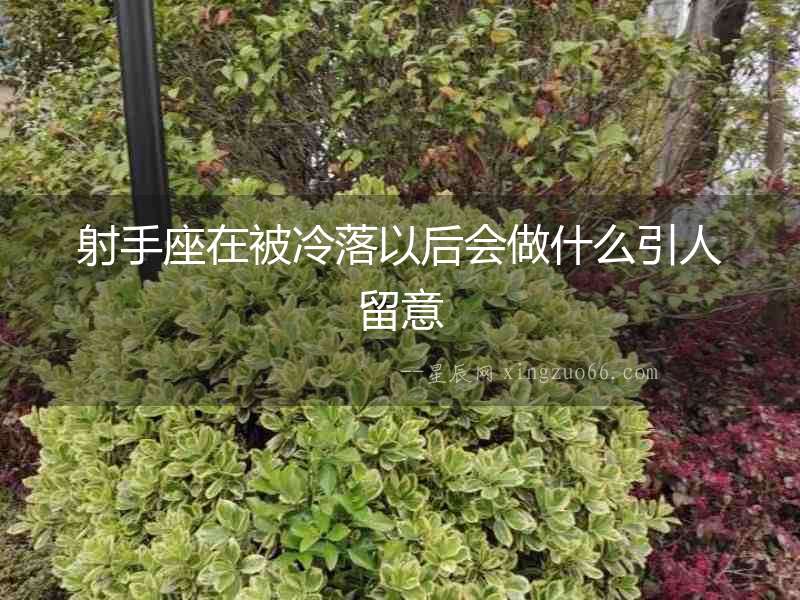 射手座在被冷落以后會做什么引人留意