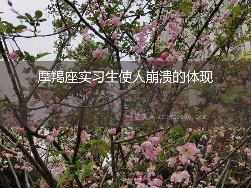 摩羯座實(shí)習(xí)生使人崩潰的體現(xiàn)