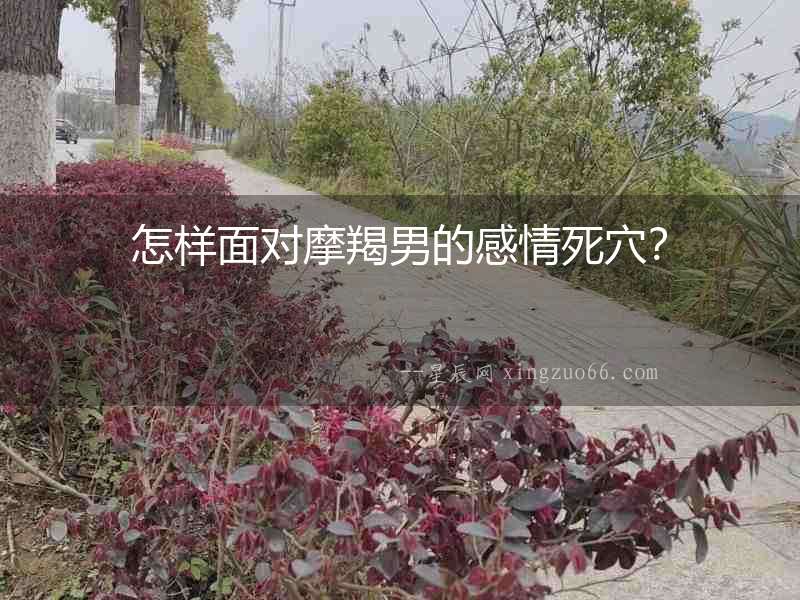 怎樣面對摩羯男的感情死穴？