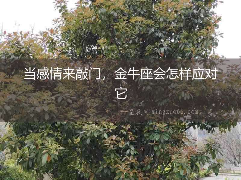 當感情來敲門，金牛座會怎樣應(yīng)對它
