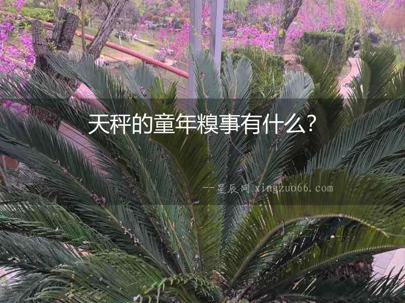 天秤的童年糗事有什么？
