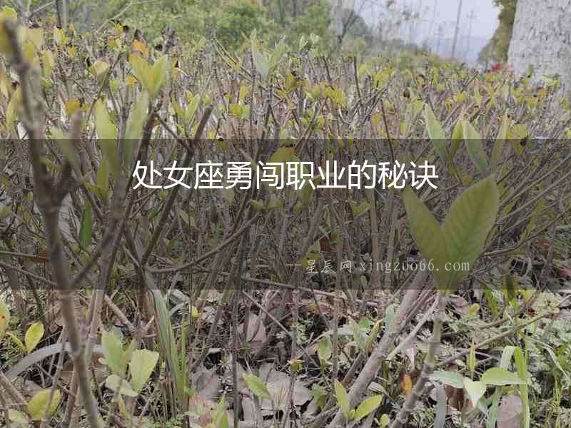 處女座勇闖職業(yè)的秘訣