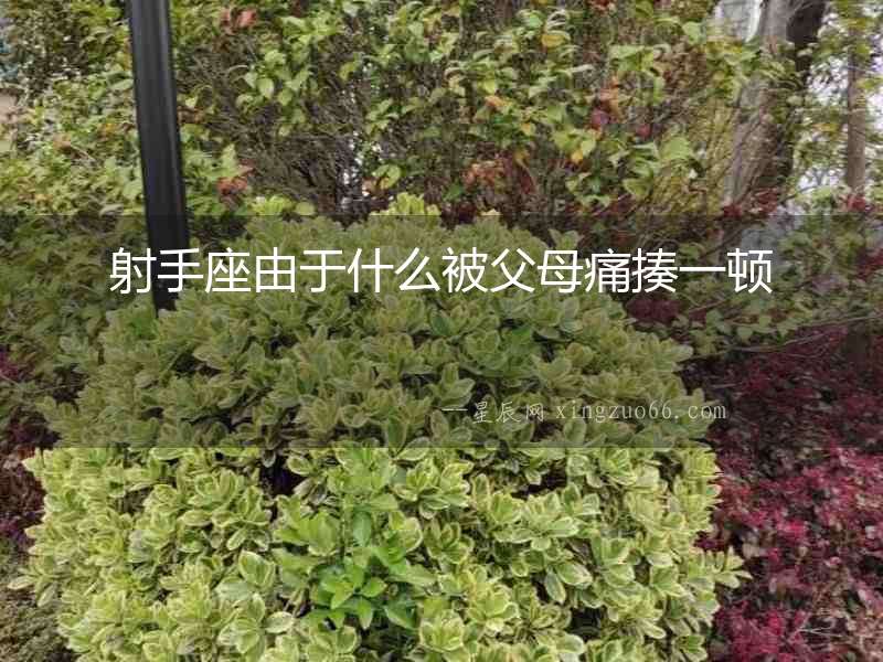 射手座由于什么被父母痛揍一頓