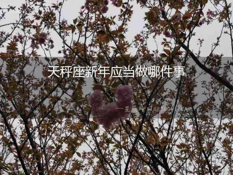 天秤座新年應當做哪件事