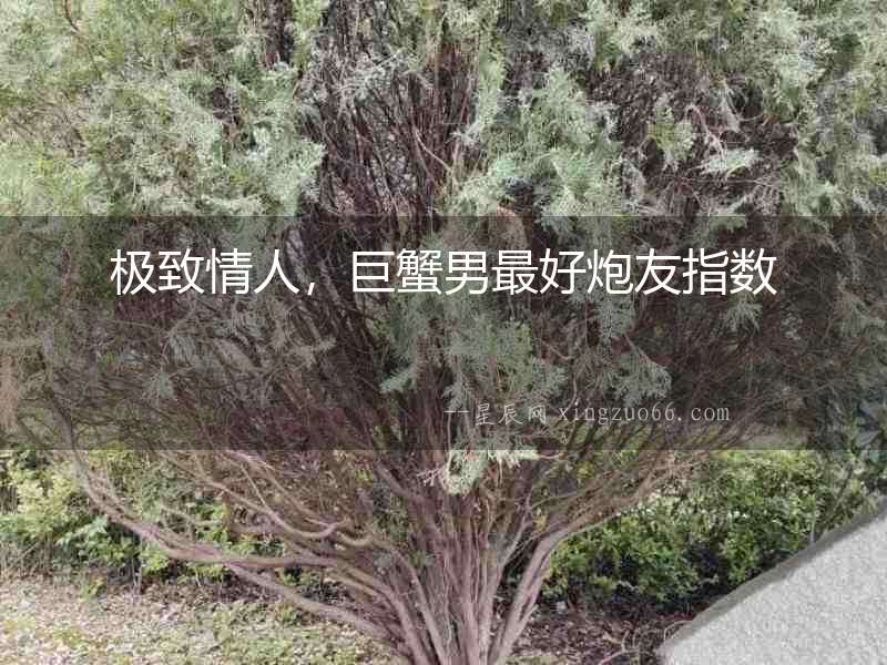 極致情人，巨蟹男最好炮友指數