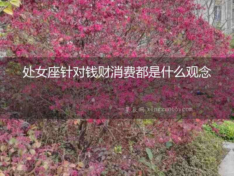 處女座針對(duì)錢財(cái)消費(fèi)都是什么觀念